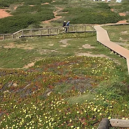 George - Colorful Life To Enjoy Praia da Arrifana
