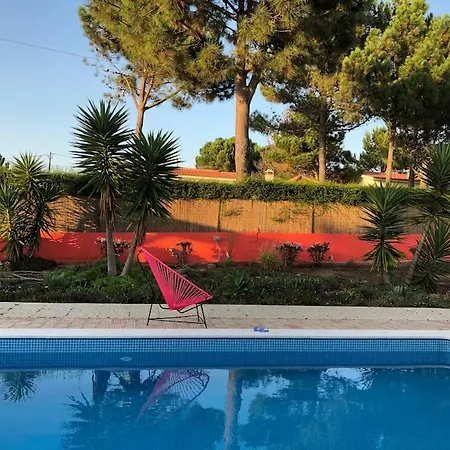 George - Colorful Life To Enjoy * Praia da Arrifana